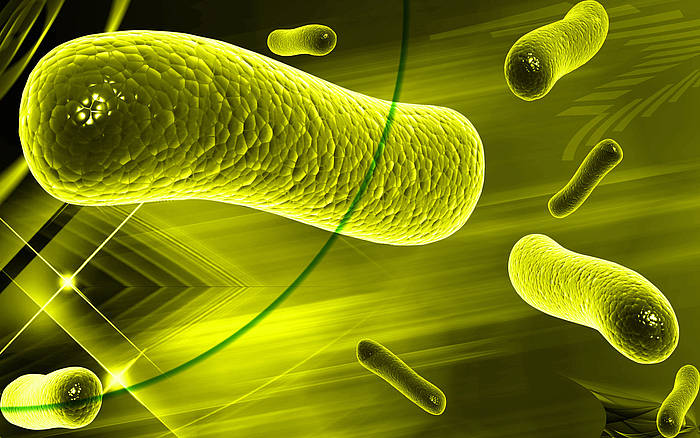 Microorganisms Store Electricity from Renewable Energy Sources.