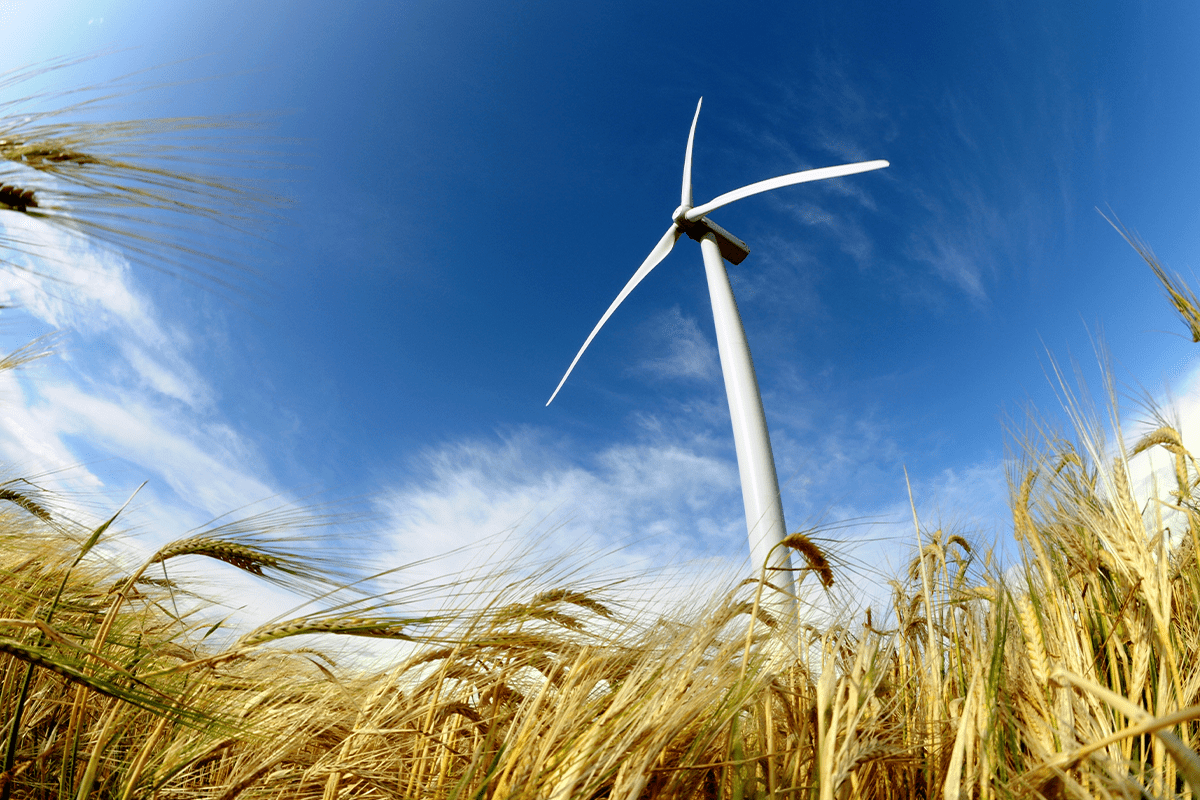 Wind turbine in a field