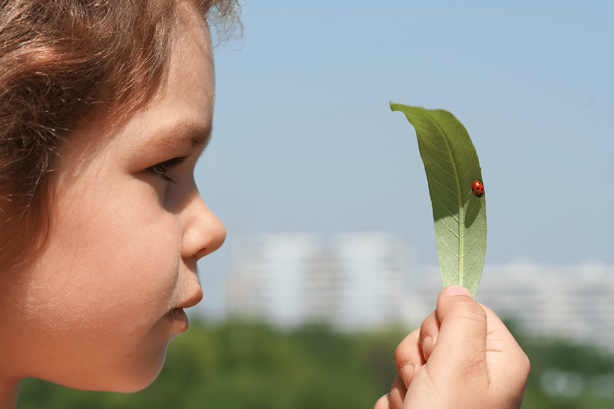 Seitliches Portrait eines kleinen Mädchens, das ein Blatt betrachtet, auf dem ein Marienkäfer sitzt